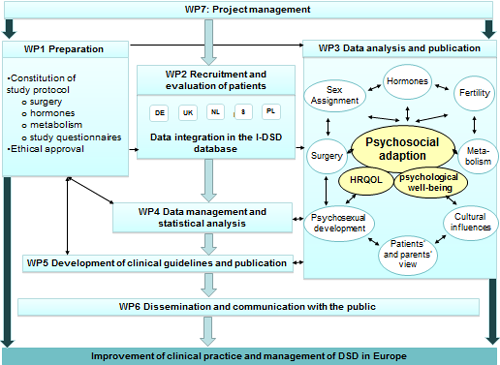 Workpackages DSD-Life